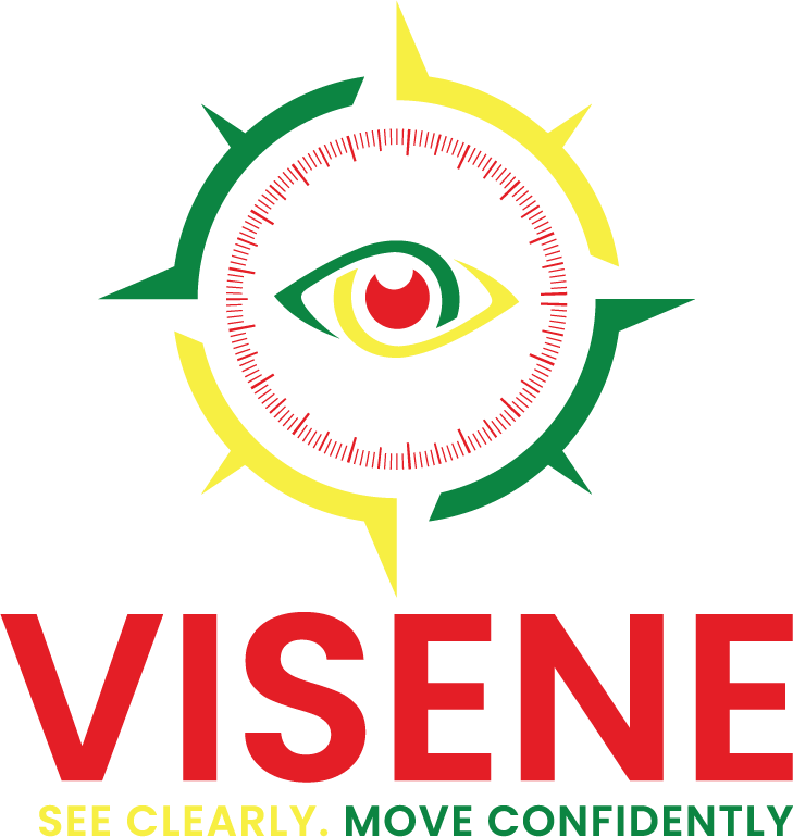 Visene Logo